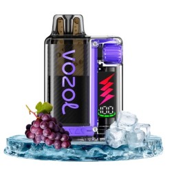 Vozol Grape Ice 10'000